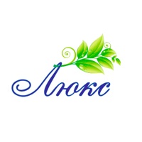Люкс Омск на пк