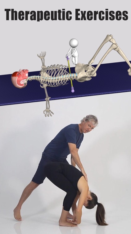 Posture by Muscle & Motion screenshot-4