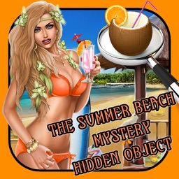 The Summer Beach Mystery