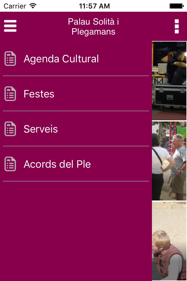 Ajuntament de Palau Plegamans screenshot 3