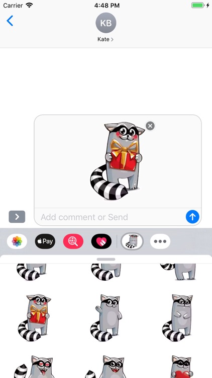 Racoon Stickers Pack screenshot-6