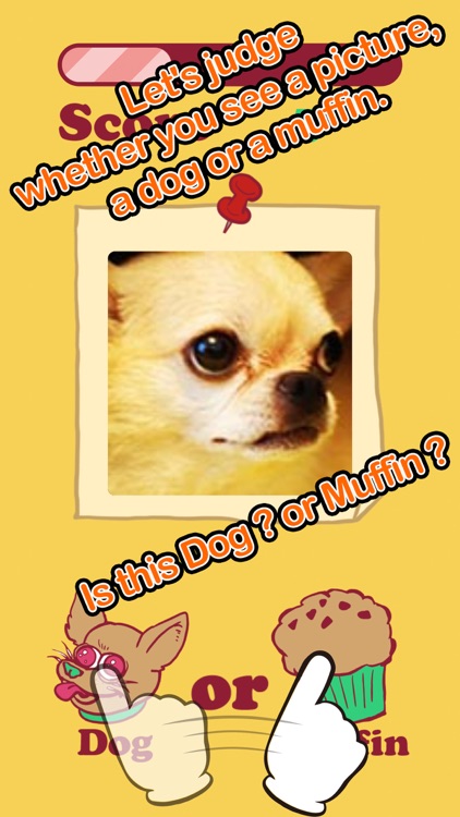 Dog Or Muffin - Cute & Strange