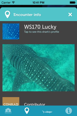 Whale Shark Network Maldives screenshot 4