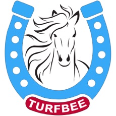 Activities of TurfBee