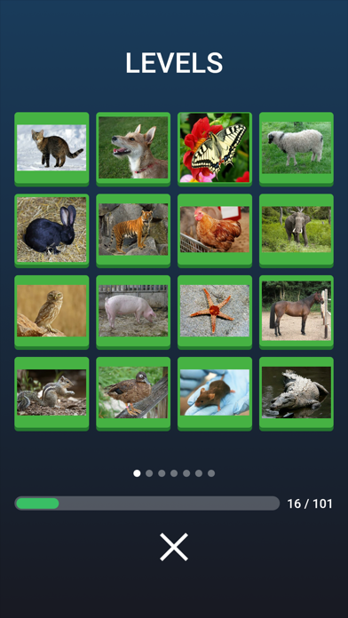 Learn the Animals: Quiz screenshot 4