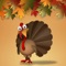Icon Thanksgiving App