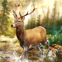 Hunting Clash: 動物シューティングゲーム 3D apk