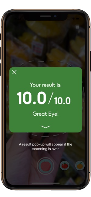 FruitScan(圖3)-速報App