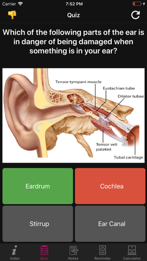 Human Anatomy Ears Facts, Quiz(圖6)-速報App