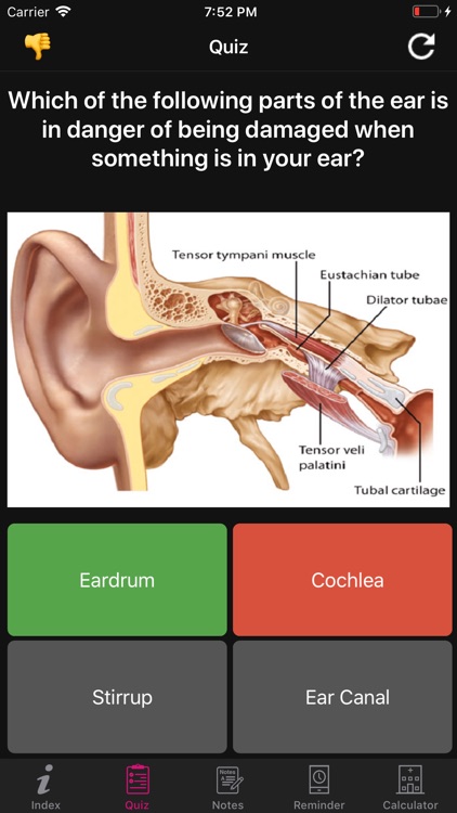 Human Anatomy Ears Facts, Quiz screenshot-5