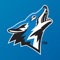 The official CSU San Bernardino Coyotes app is a must-have for fans headed to campus or following the Coyotes from afar