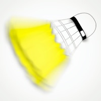 Badminton Player In Action