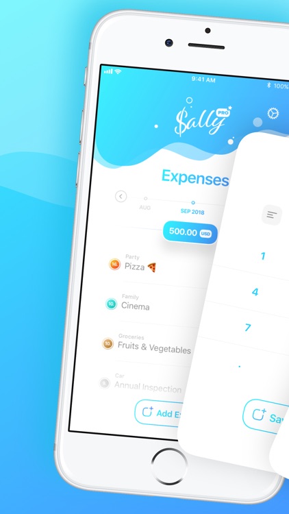 Sally Expense Tracker