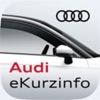 Audi eKurzinfo