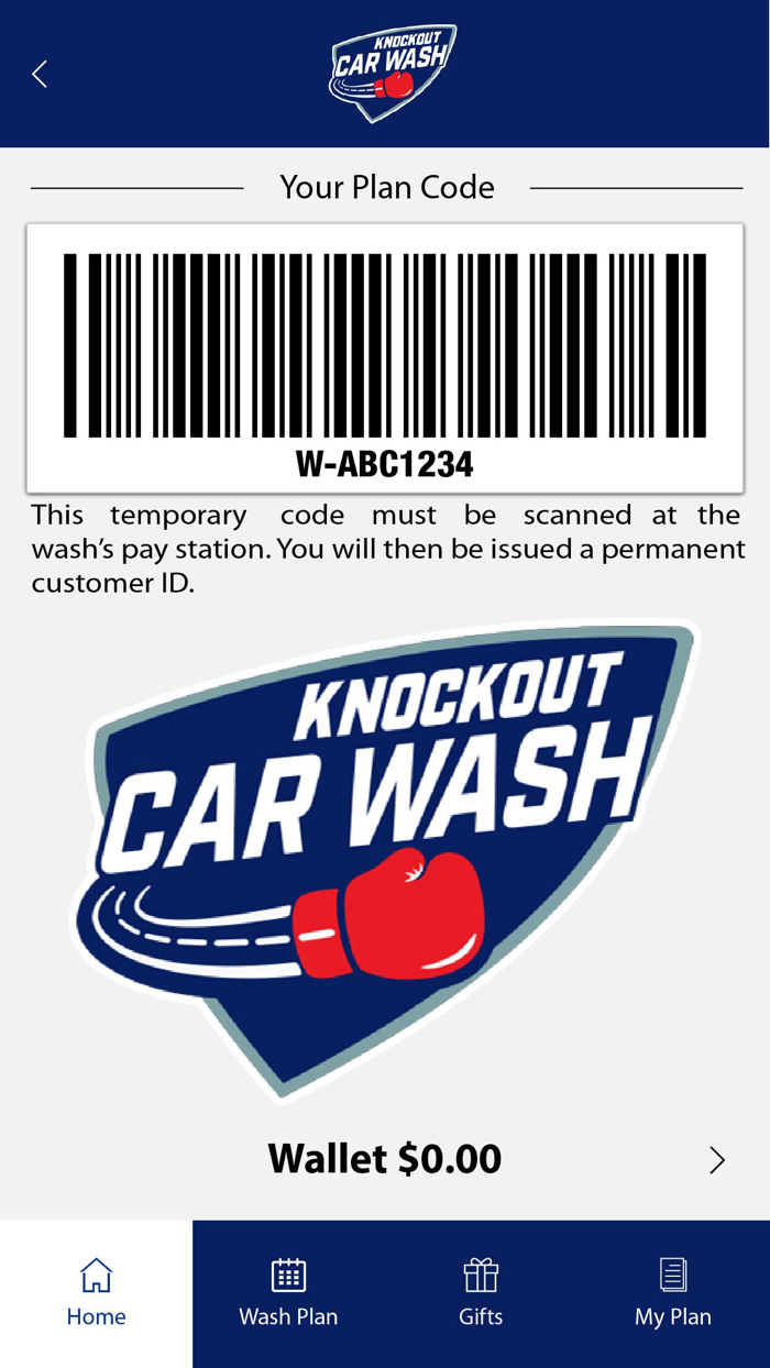 Knockout Car Wash