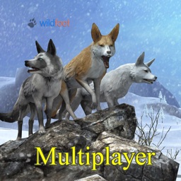 Fox World Multiplayer