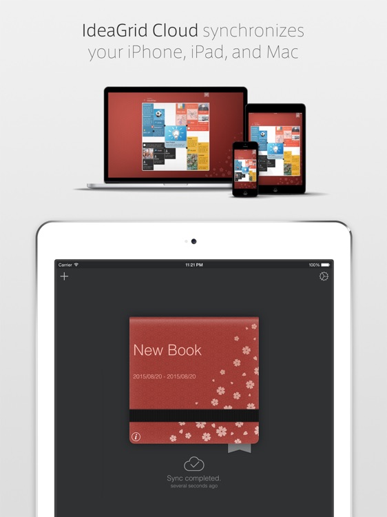 IdeaGrid for iPad screenshot-4