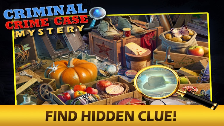 Criminal Crime Case Mystery HD screenshot-6