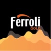 Ferroli Gold