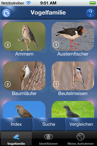 Vogelstimmen Id - Rufe,Gesänge screenshot 3