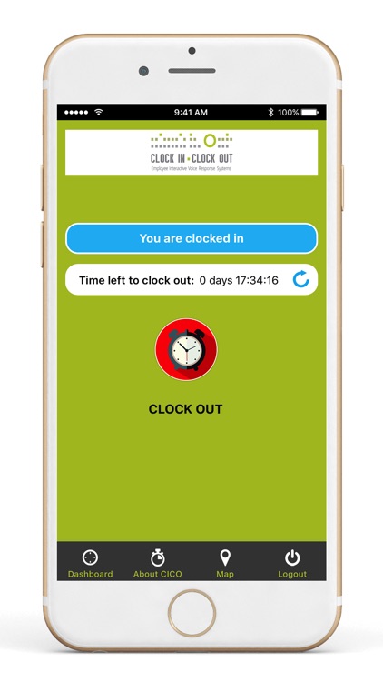 CLOCK IN CLOCK OUT screenshot-3