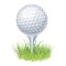 Golf Stickers