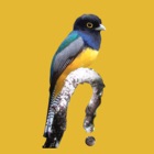 Top 34 Reference Apps Like Belize Birds Field Guide - Best Alternatives