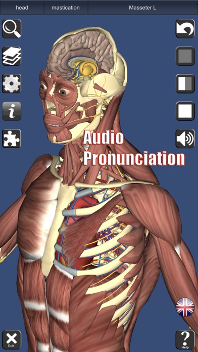 3D Anatomy Screenshot 2