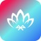 Lotus Lantern BLE 4
