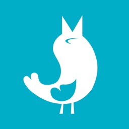 Соловей салон