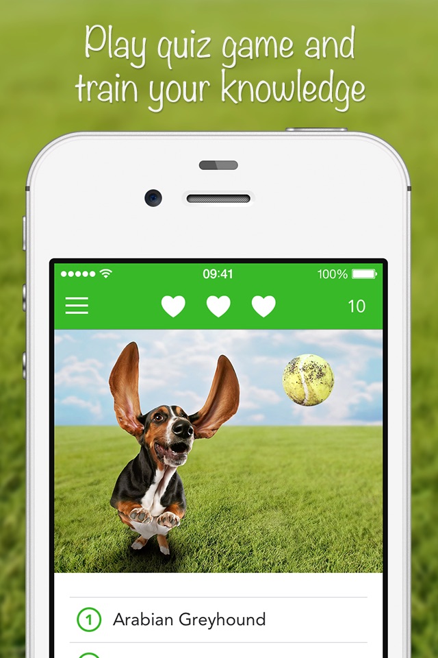 iKnow Dogs 2 PRO screenshot 4