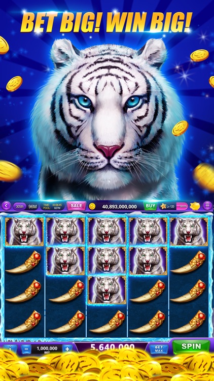 Slots-Heart of Diamonds Casino screenshot-4