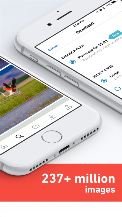 Shutterstock - Stock Photos