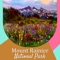 Our Mount Rainier National Park travel guide gives information on travel destinations, food, festivals, things to do & travel tips on where to visit and where to stay