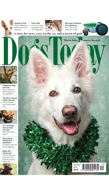 Dogs Today Magazine screenshot-8