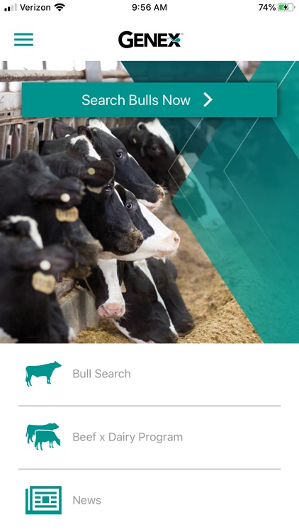 Bull Search
