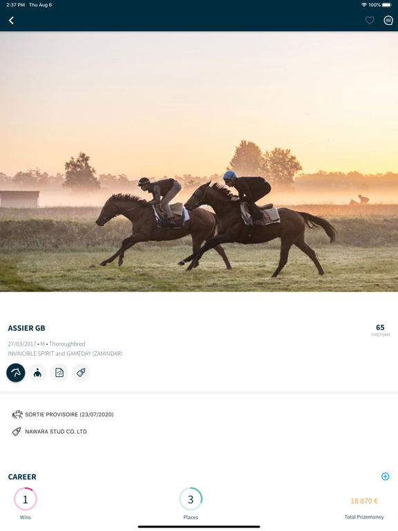 Screenshot #5 pour Horsiz