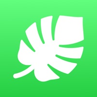 Kontakt Plantbuddy: Pflanzenpflege