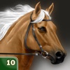 My Horse Life Story Quiz Game