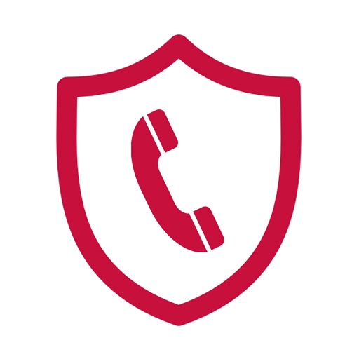Secure and protect Icon