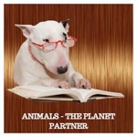 Animals - The Planet Partner