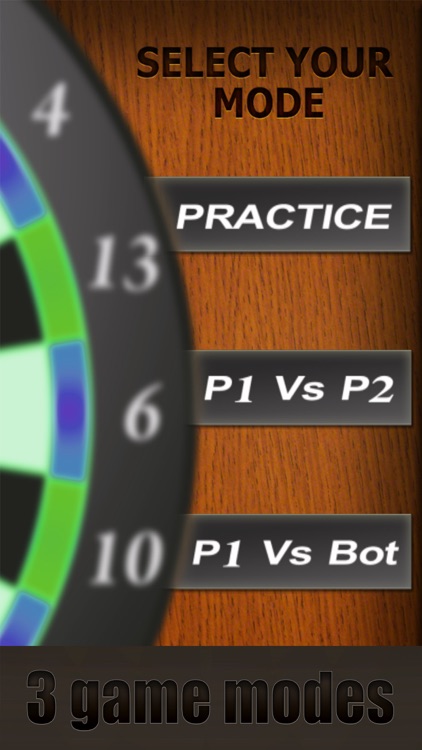 Professional Darts 3D