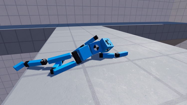 Fun with Ragdolls screenshot-8
