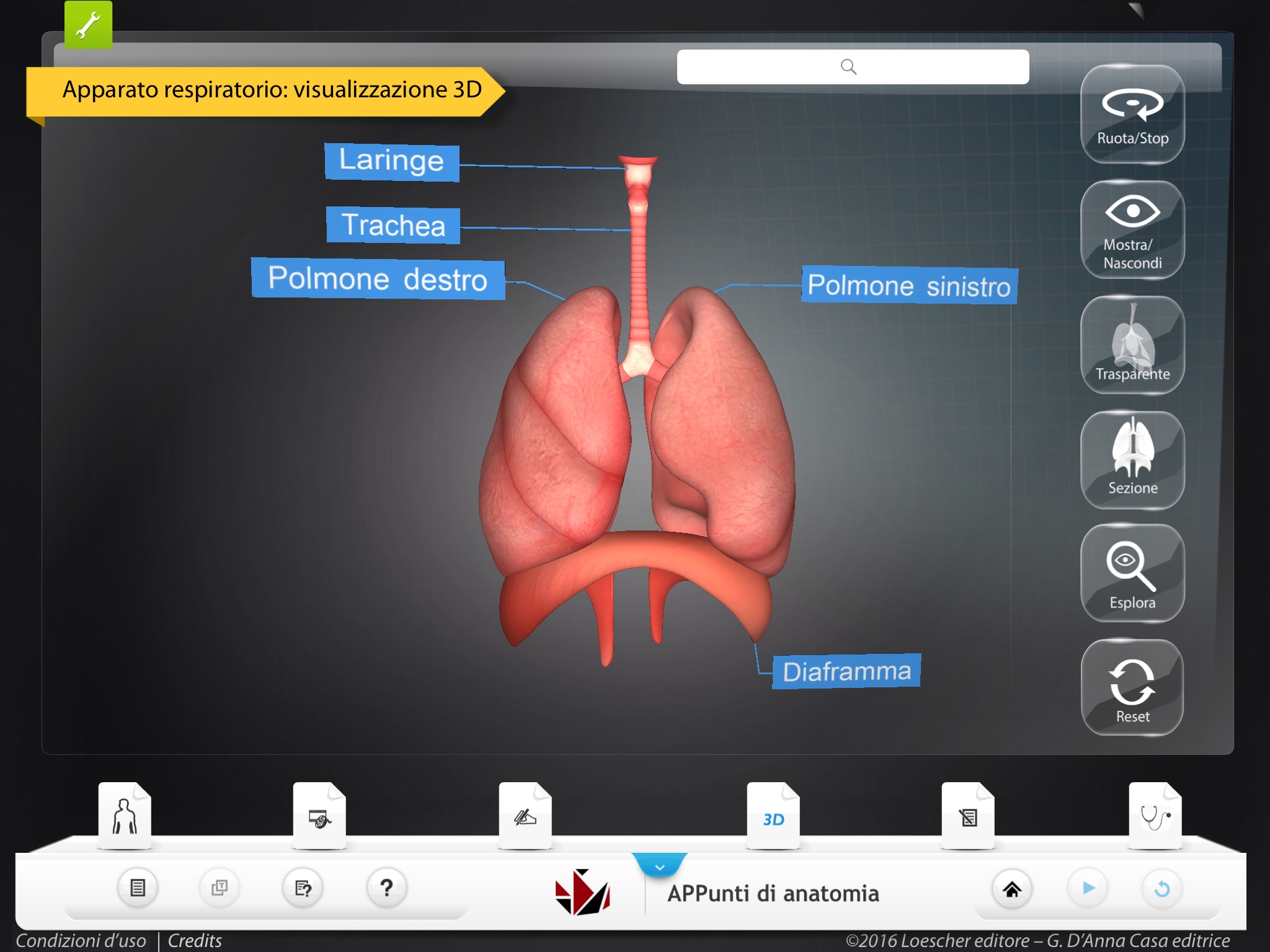 APPunti di anatomia Lite screenshot 4
