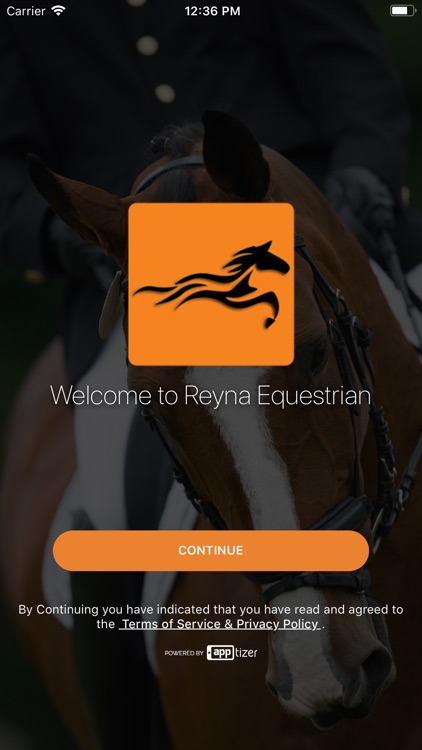 Reyna Equestrian