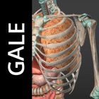 Top 36 Education Apps Like Gale Interactive Human Anatomy - Best Alternatives