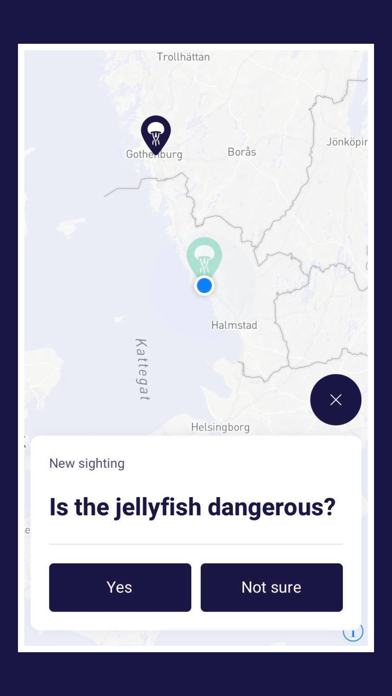 JellyFinder screenshot 3