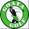 GOATA GOLF is a program in which we identify irregular movement patterns in individuals or athletes with the use of slow-motion video technology