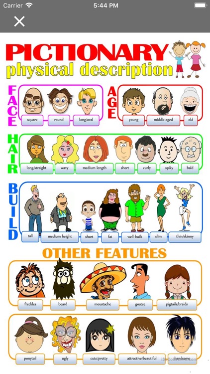 Physical appearence vocabulary screenshot-4
