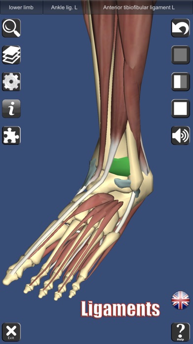 3D Anatomy Screenshot 4